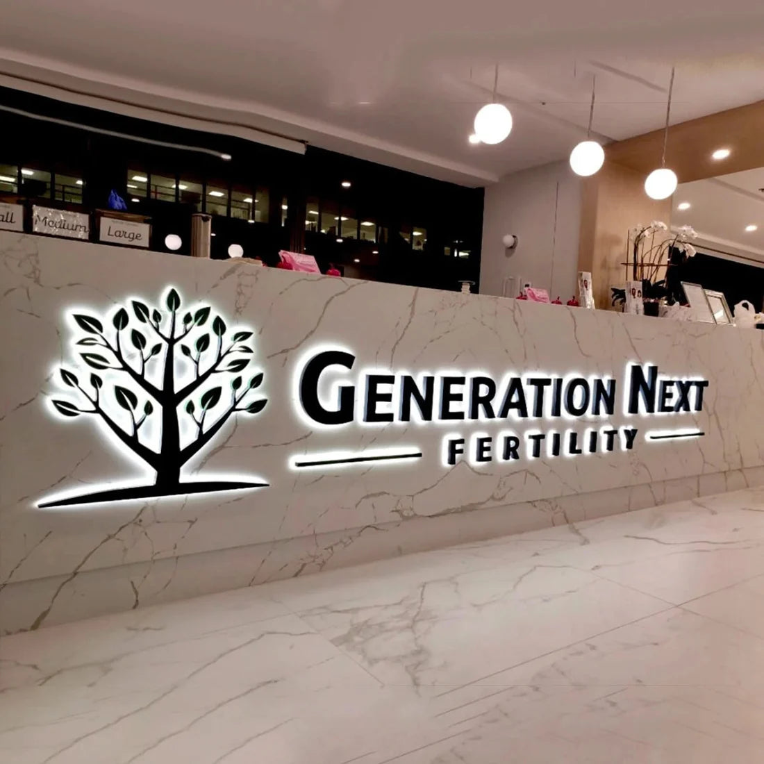Storefront Front And Back Lit Sign, 3D Backlit Channel Letter Sign